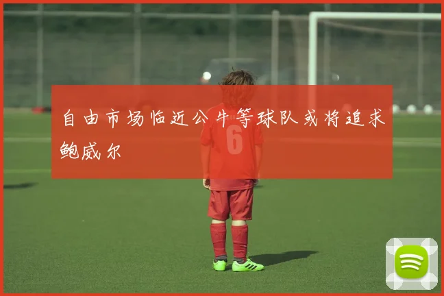 自由市场临近公牛等球队或将追求鲍威尔