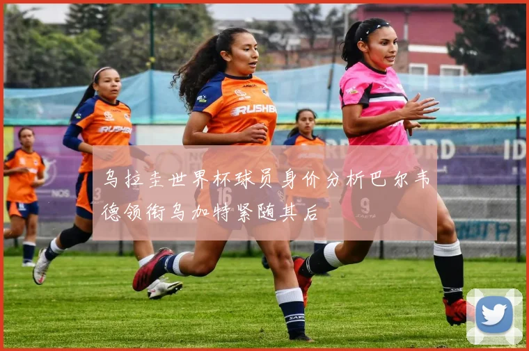 乌拉圭世界杯球员身价分析巴尔韦德领衔乌加特紧随其后