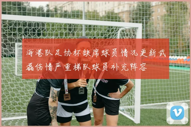 海港队足协杯缺席球员情况更新武磊伤情严重梯队球员补充阵容