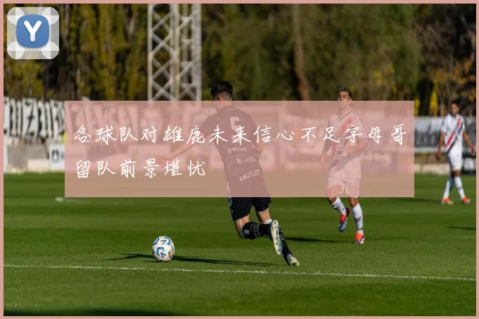 各球队对雄鹿未来信心不足字母哥留队前景堪忧